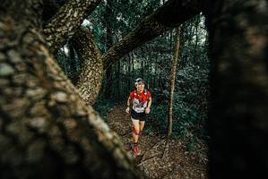 BIB: 
                            <button type="button" onclick="openModal(25666994)" class="btn btn-primary btn-sm float-right btn-popup" data-toggle="modal" data-target=".modal-high-quality">
                        <i class="fas fa-shopping-cart"></i> Add to Cart
                    </button>
                                            <button type="button" onclick="isThisMe(25666994, true)" class="btn btn-success btn-sm float-right btn-popup btn-isme hidden" data-toggle="tooltip" data-placement="bottom" title="นี่คือรูปของคุณใช่ไหม คลิกที่นี่เพื่อเอาเข้าอัลบั้ม">
                        <i class="fas fa-plus"></i> Add to album
                    </button>
                    <button type="button" onclick="isThisMe(25666994, false)" class="btn btn-warning btn-sm float-right btn-popup btn-isnotme hidden">
                        <i class="fas fa-ban"></i> Remove from album
                    </button>